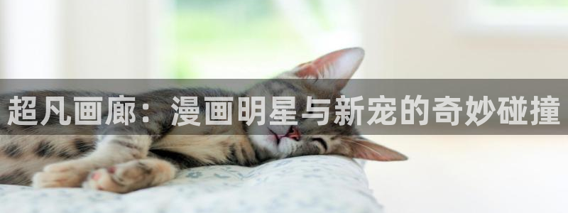 yy漫画首页入口：超凡画廊：漫画明星与新宠的奇妙碰撞